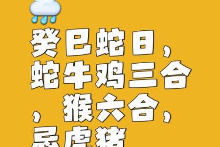 属蛇和属虎的人在一起合作共事，属相合不合会影响运势吗？