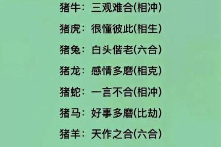 属虎的人和属猪的人结婚在生肖配对中是否合适？