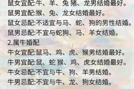 虎女和男兔属相合不合婚姻 虎女和兔男相冲吗