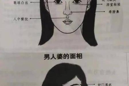 如何看面相算命(如何看面相算命图解)