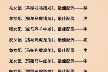 女龙和男虎属相合不合 女龙与男虎属相配吗