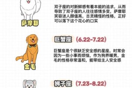 星座生肖血型配对(生肖星座血型查询)