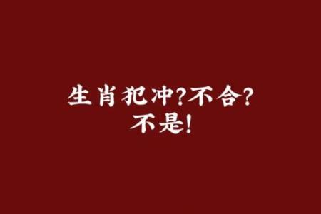 属马的几月犯月 生肖狗和什么生肖相冲