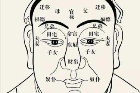 眉毛看相算命图解 眉毛看相图解大全