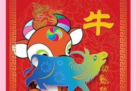 天伦之乐打一个生肖正确答案揭秘，家庭和睦代表哪个动物？
