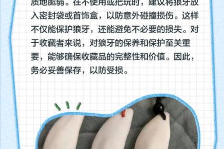 狼牙最忌三种属相 狼牙忌讳