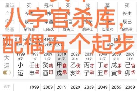 什么样的八字好命运 八字最有福气的女命