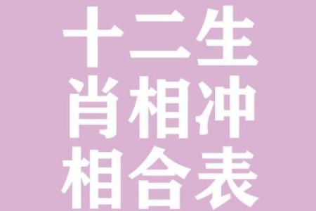 ‌头撞南墙打一生肖 → 牛‌（牛犟撞墙，死不回头）