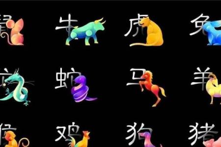 六月飞雪是什么生肖(六月飞雪是什么生肖肖)