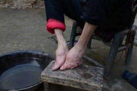 三寸金莲指哪个动物 三寸金莲是什么生肖动物