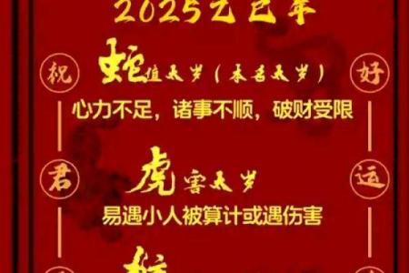 属虎的人2025年犯太岁戴什么最好 属虎的2025年多大了