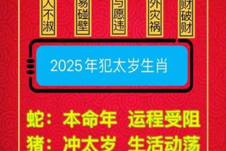 今年什么犯太岁 今年什么犯太岁吗