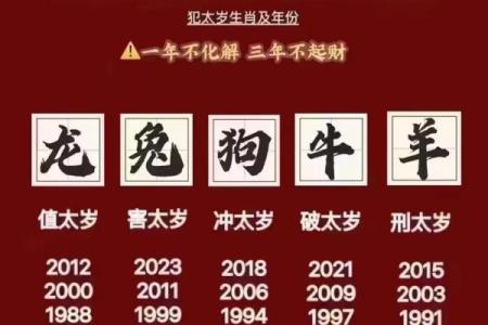 太岁什么样 太岁什么样的好