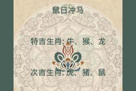 2025年鼠年本命年运势如何？属鼠人需要注意哪些方面？