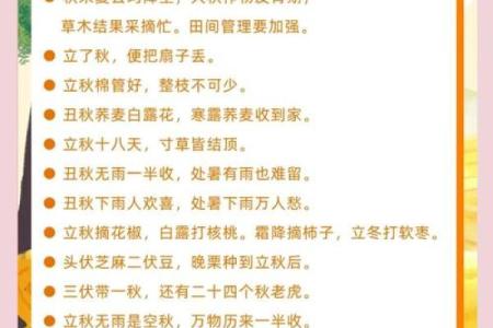 今年立秋是早立秋还是晚立秋？2024年8月7号准确时间查询