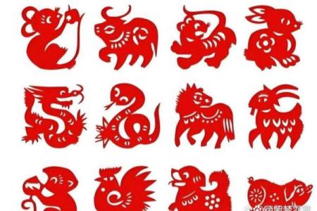 子午相冲三合出什么生肖 子午相冲三合出打一准确的动物