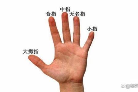 无名指比食指长预示什么 无名指比食指长的男人代表什么