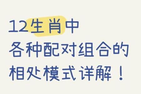 街坊邻居的生肖配对查询，如何根据属相改善邻里关系和谐度？