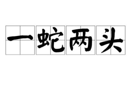 两头担心是什么生肖(两头猜一数字)