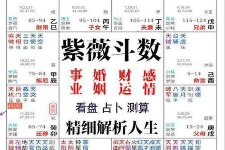 电脑算卦(电脑算命免费网)