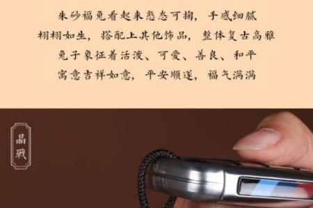 属兔不能佩戴什么饰品 属兔的可以戴什么首饰