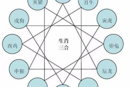 八字不合指的是什么生肖 八字不合是指什么生肖