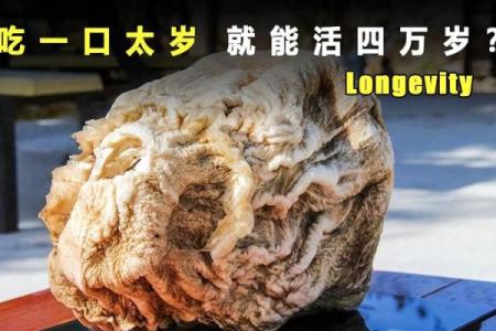 太岁是啥样的 太岁啥样的值钱
