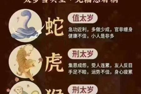 化太岁多少钱 化太岁多少钱的都有,对么