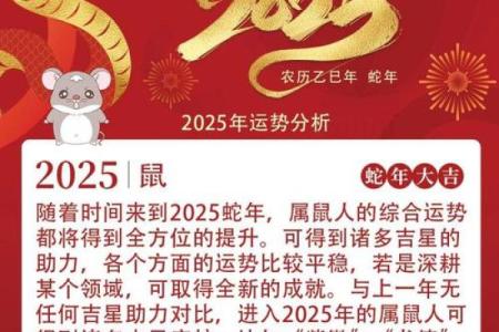 属鼠女2025年幸运色是什么？哪种颜色能提升事业运势？