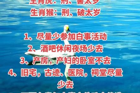 什么叫太岁怎么是犯太岁 什么叫太岁怎么是犯太岁2024