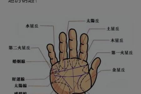 看手相算命图解