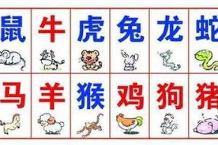 有功之臣打一生肖正确答案解析，历史典故中的生肖代表揭秘