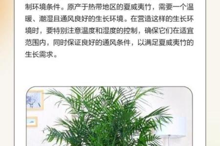 夏威夷竹什么属相不能养 夏威夷竹什么属相不能养呢