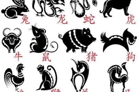 00后都属什么生肖 00后属什么的