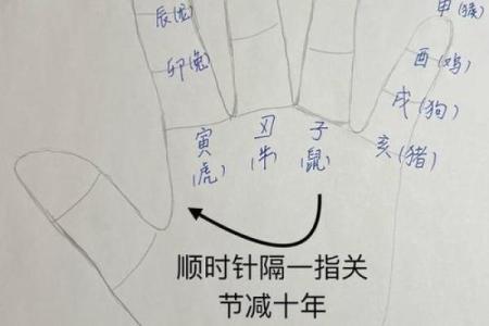 怎样算命 怎样算命宫