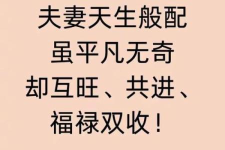 自讨没趣打一最佳生肖(自讨没趣啥意思)