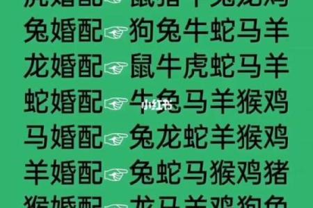 生肖星座配对 十二星座男女配对表