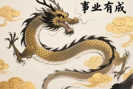 为什么属龙的那么苦,为什么说属龙人33岁最苦