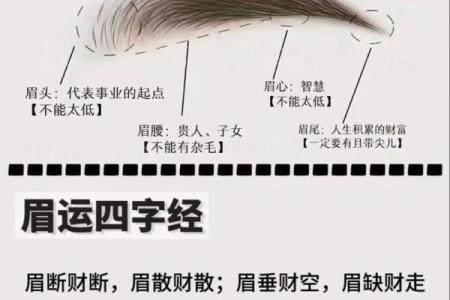 眉毛突然断眉预示什么 眉毛突然断了预示着什么