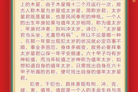 太岁究竟是什么 太岁究竟是什么东西