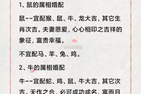 十二属相婚配表生肖婚配 十二属相婚配表 属相相克查询