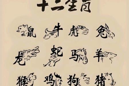 做贼心虚指什么生肖
