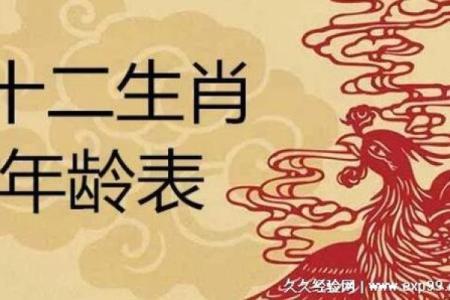 哪几个生肖属于大生肖 哪些生肖是大属相