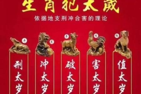 肉山脯林开过什么生肖