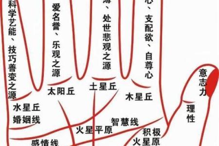 如何给别人算命 咋给别人算命