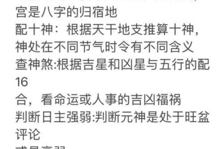 七非免费算命(七非免费算命网2024年最新版下载)