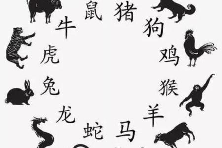根据中国传统文化，生肖中哪些属相代表才子，哪些代表佳人，他们有何特点？