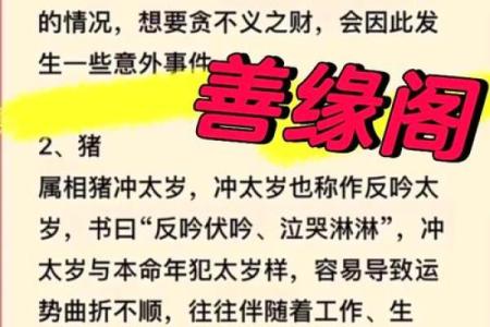 2025年属虎犯太岁适宜佩戴什么 2025年犯太岁的生肖属相有哪几个
