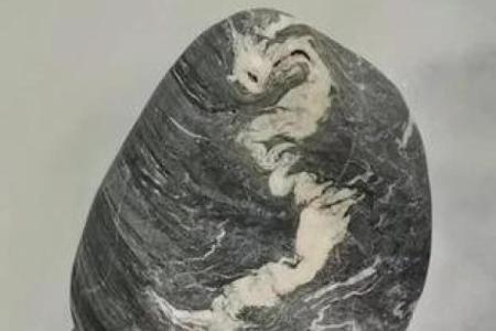 四海一家打一生肖