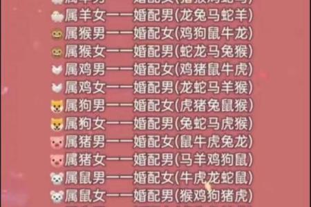 1996配什么属相婚配 1996年和什么配